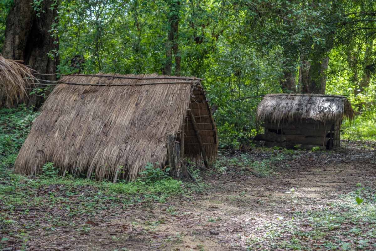 Houses of Vedda's