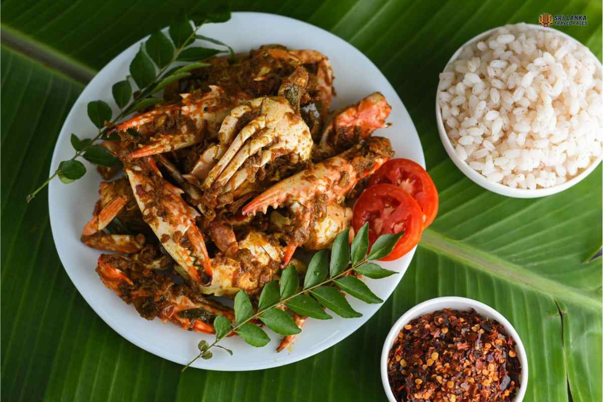 Comer mariscos en Hikkaduwa - Sri Lanka