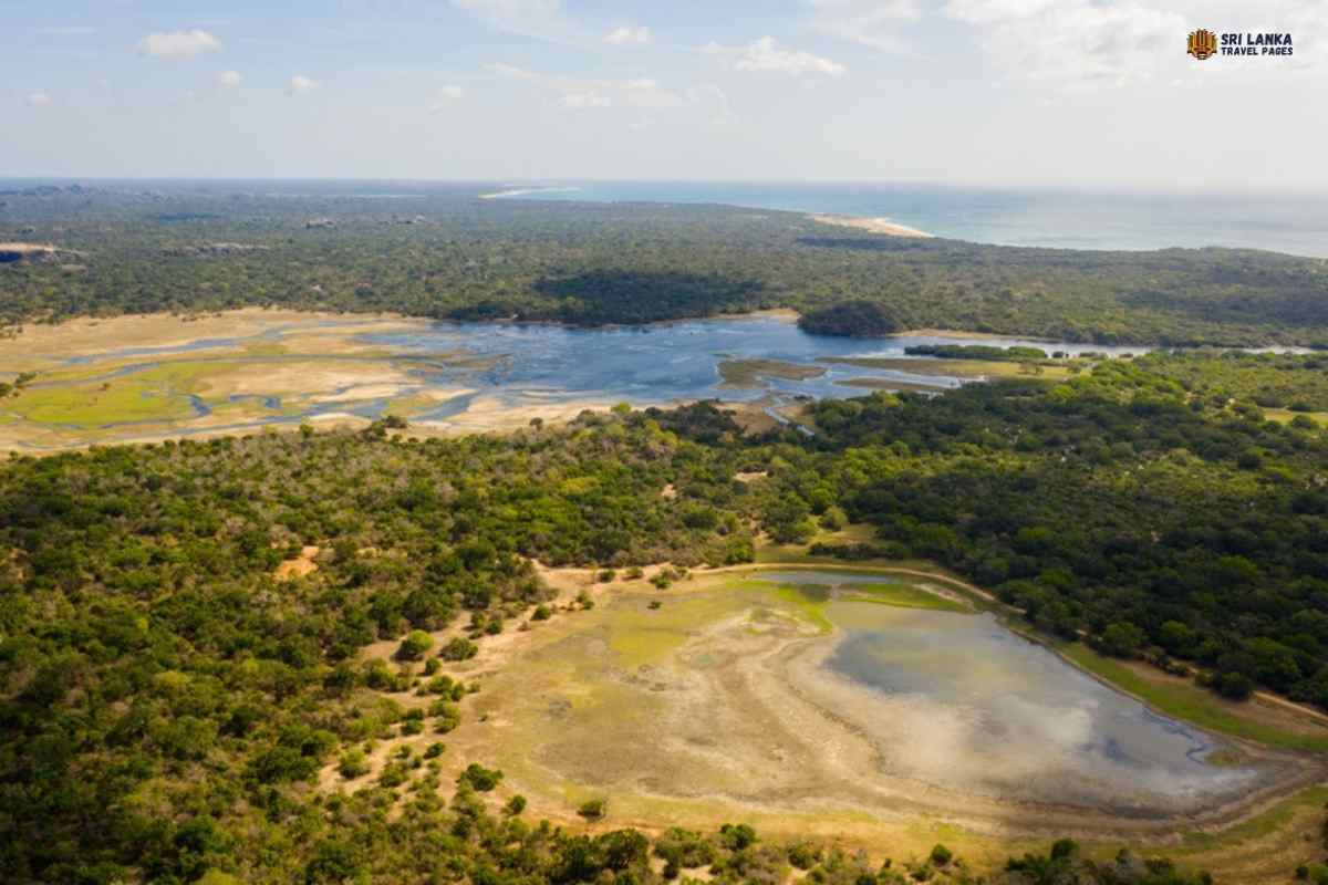 Cómo llegar al Parque Nacional Kumana 