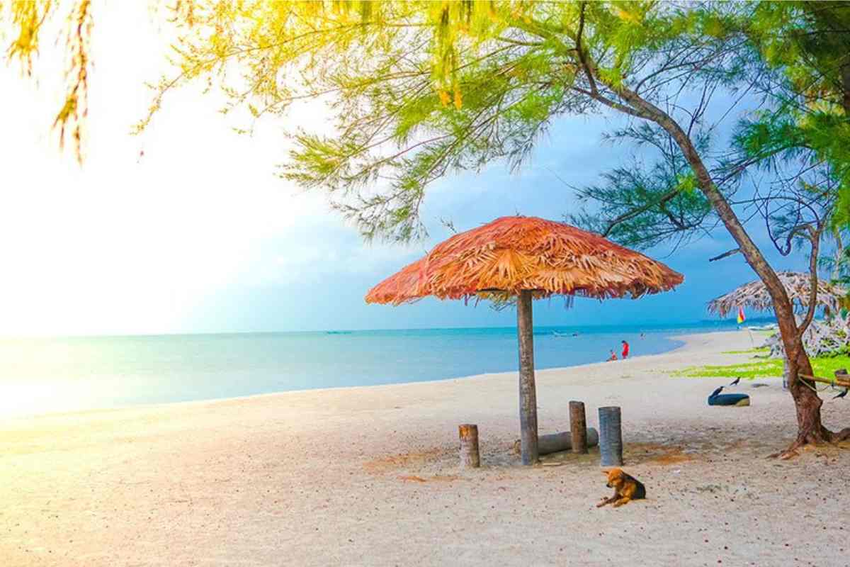 spiaggia di Casuarina