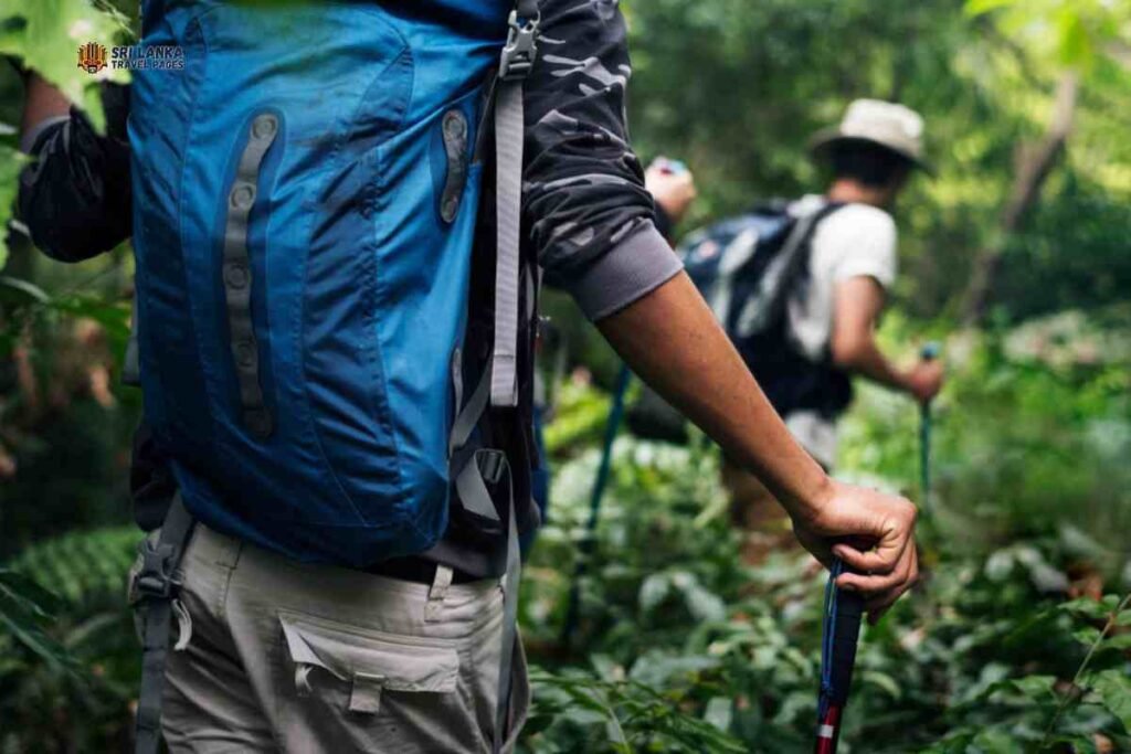 Waldtherapie in Sri Lanka