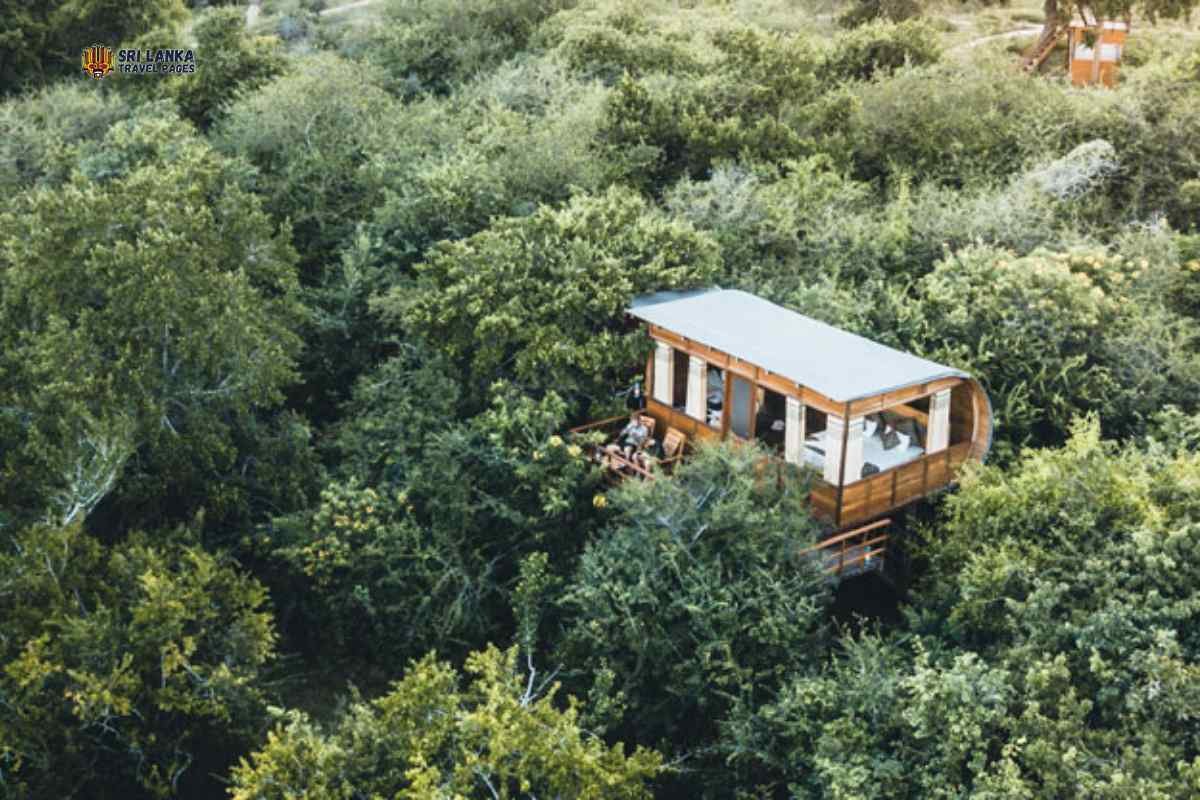 Leopard Nest - Yala