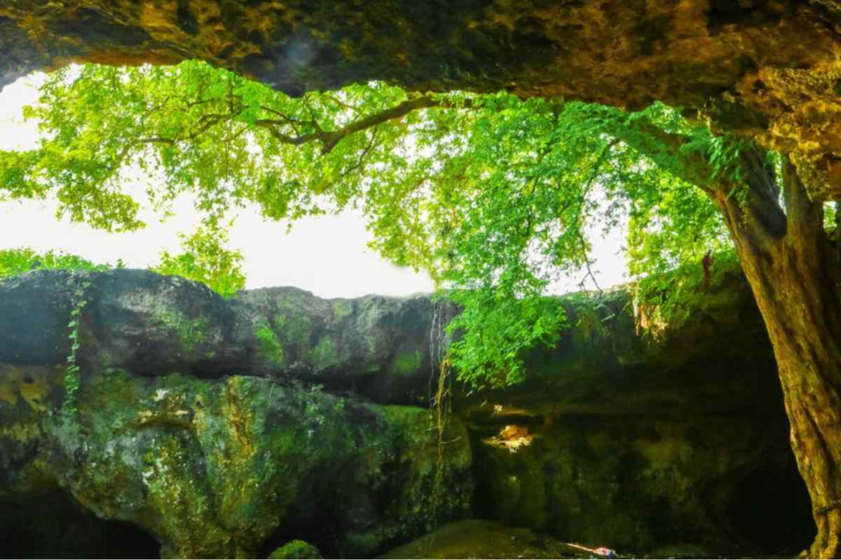 Grotte calcaree di Periya Mandapam