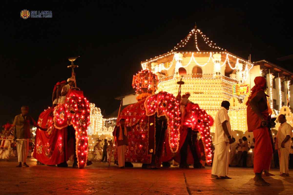 Kandy Esala Perahegera 2024 