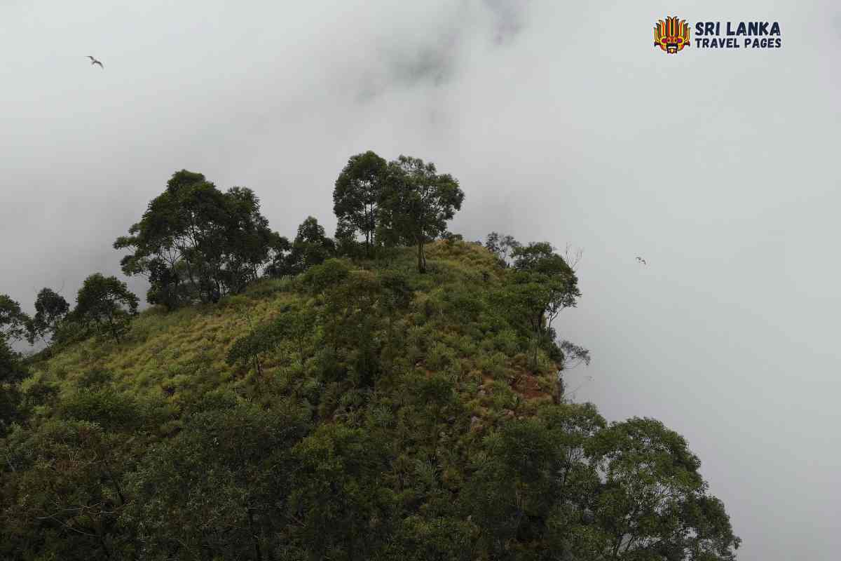 Eagle Rock en Haputale cubierto de niebla