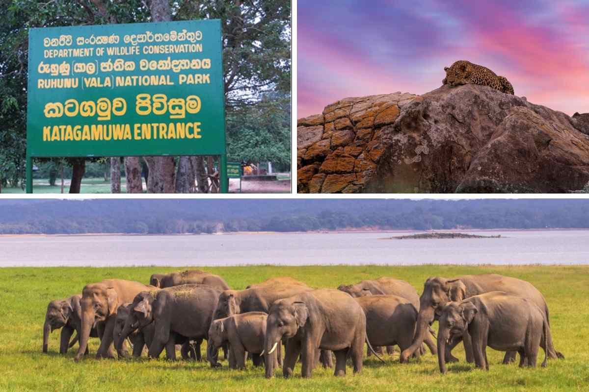 How to Reach Yala National Park Katagamuwa Entrance 