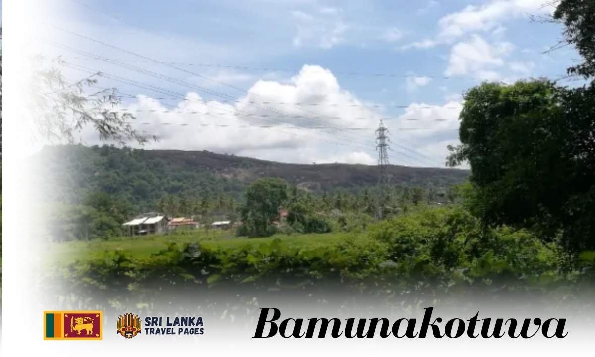 Bamunakotuwa