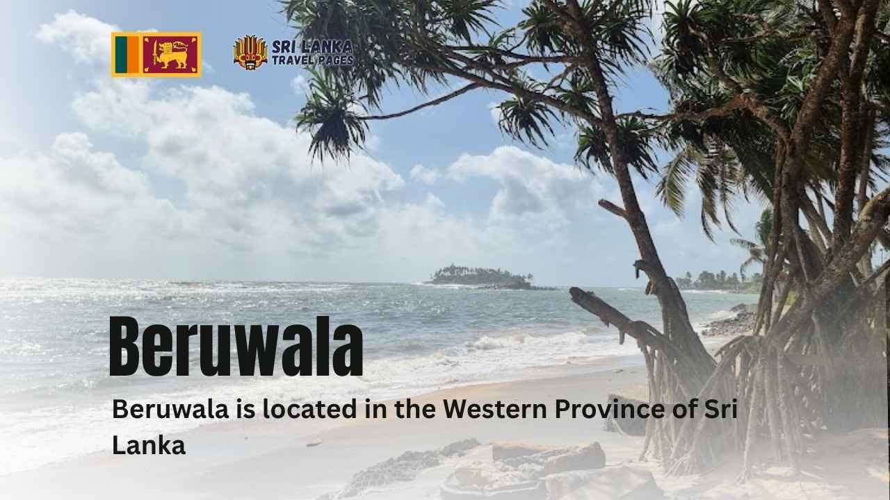 Beruwala