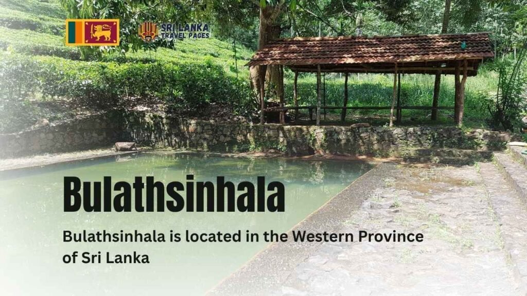 බුලත්සිංහල