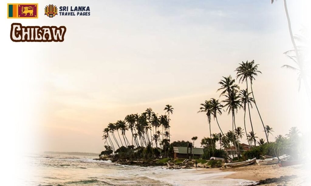 Chilaw