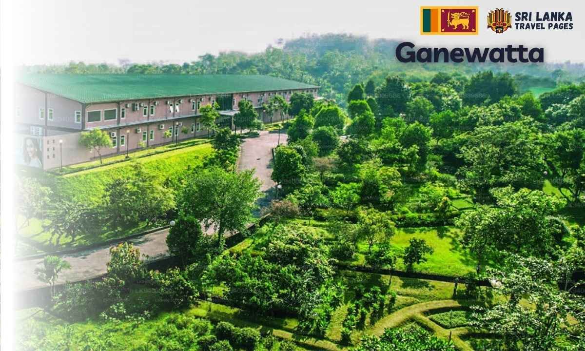 Ganewatta