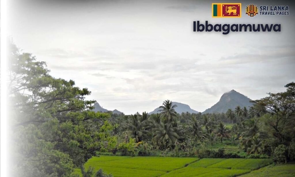Ibbagamuwy