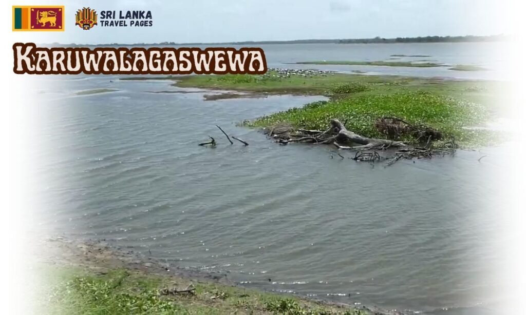 Karuwalagaswewa