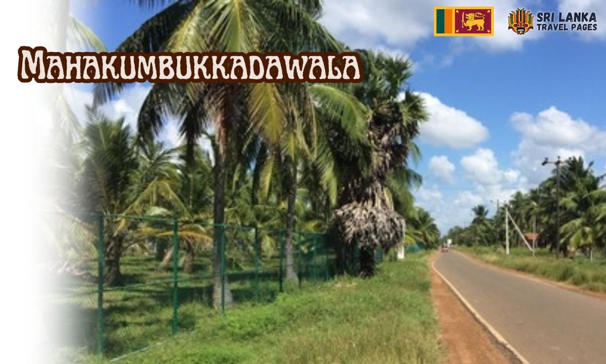 Mahakumbukkadawala