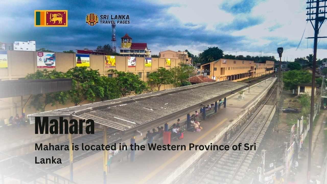 Mahara