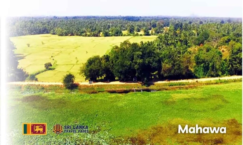 Mahawa