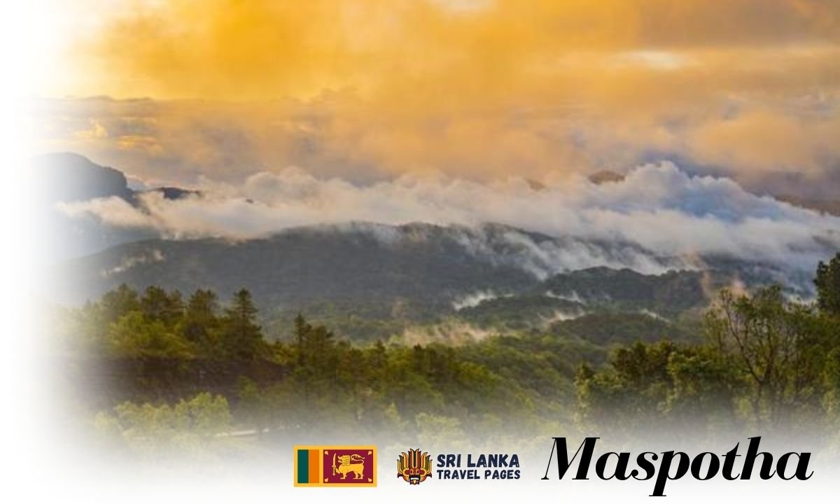 Maspotha1