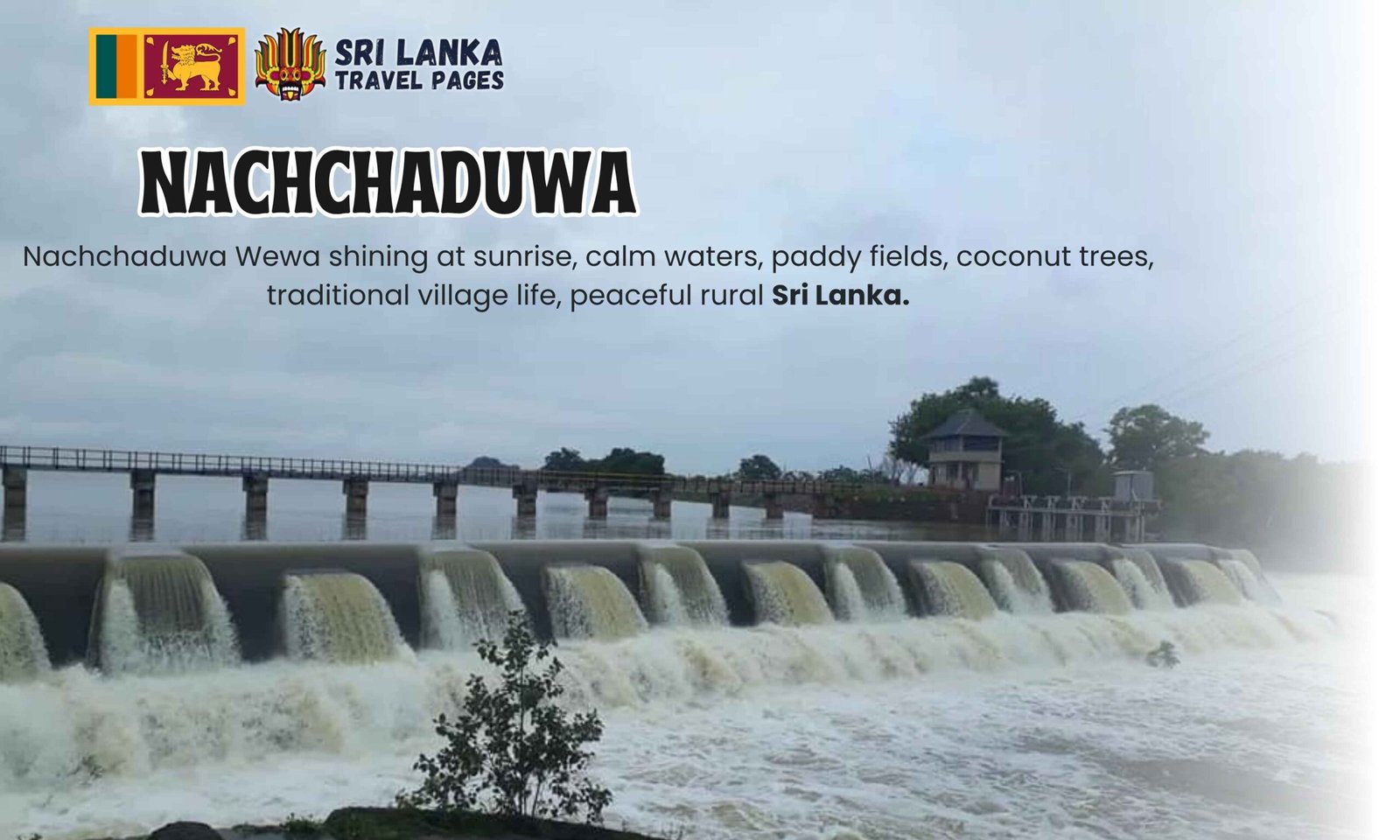 Nachchaduwa