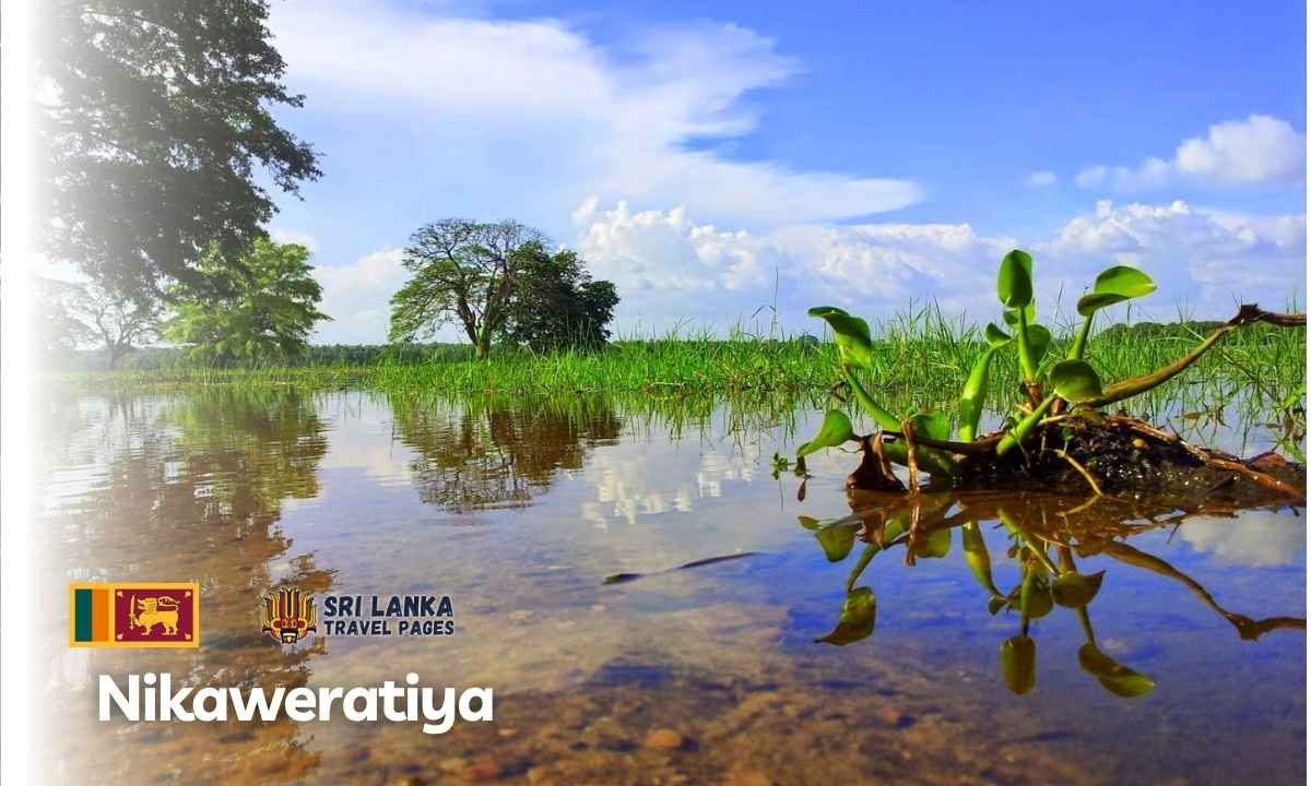 Nikaweratiya
