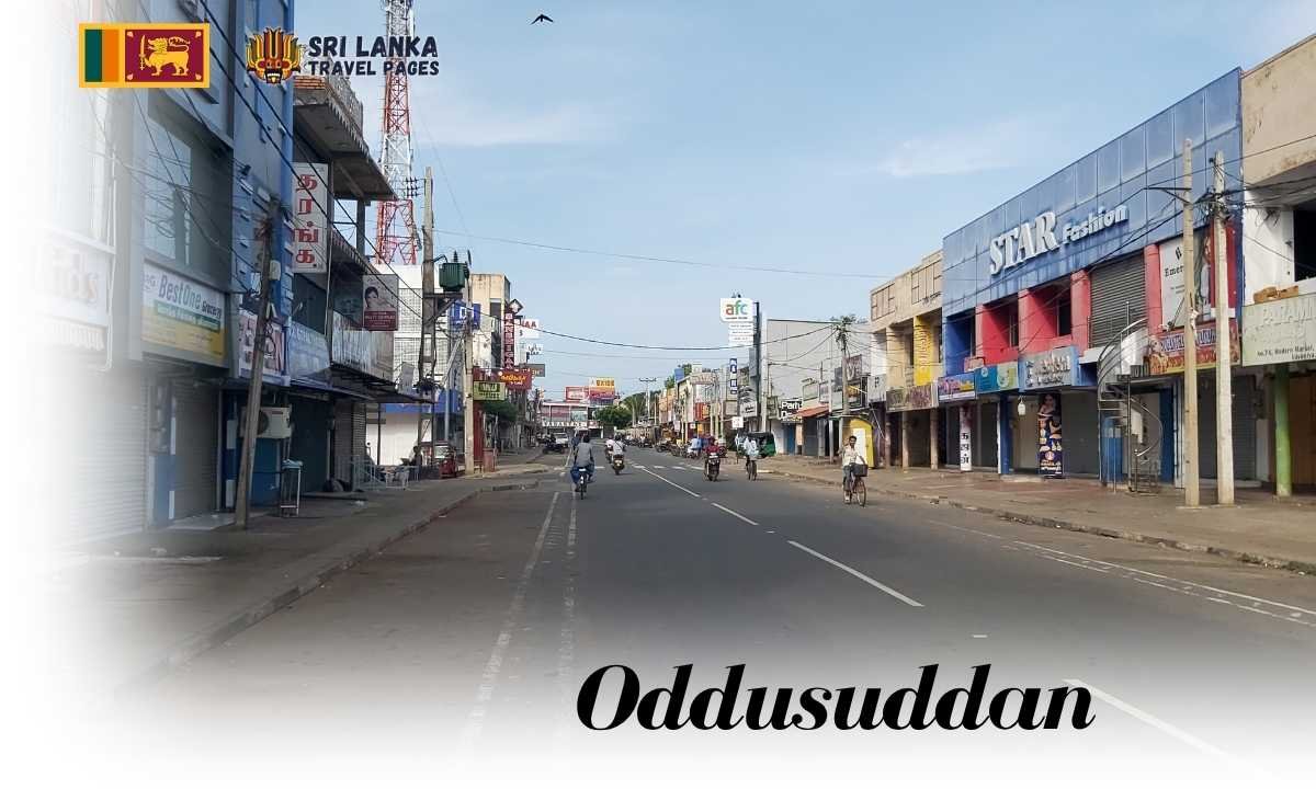 Oddusuddan