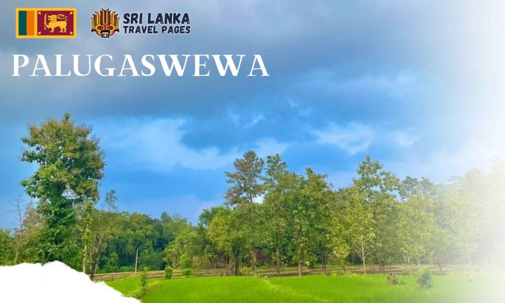 Palugaswewa