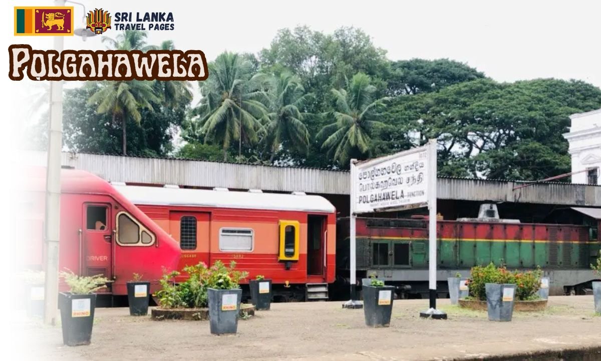 Polgahawela