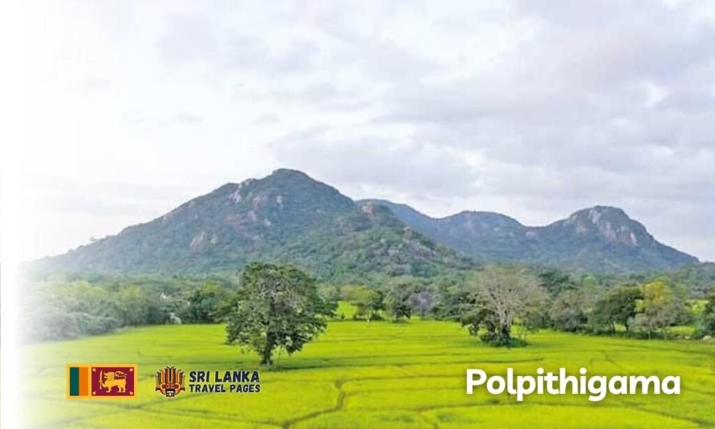 Polpithigama