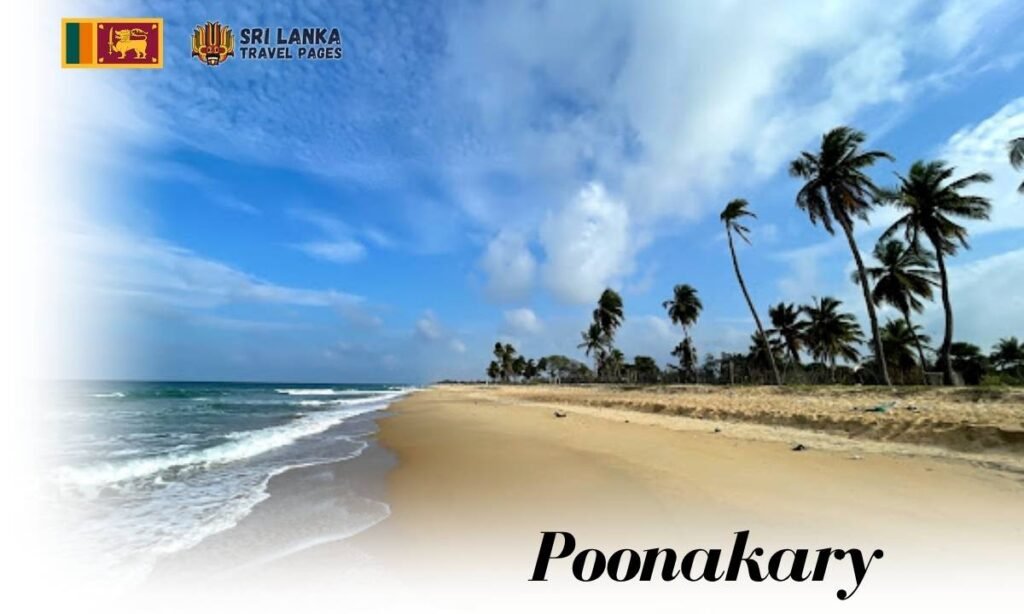 Poonakary