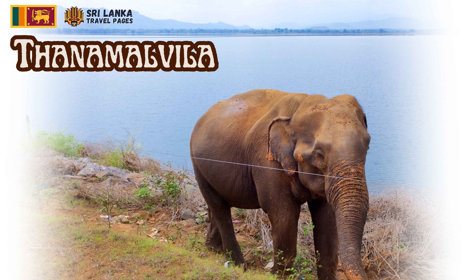 Thanamalvila