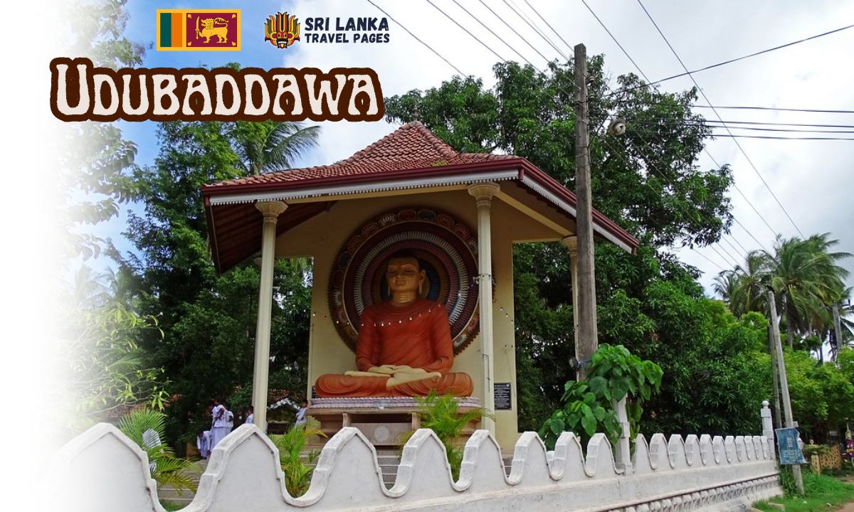 Udubaddawa