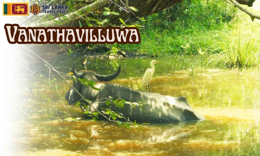 Vanathavilluwa