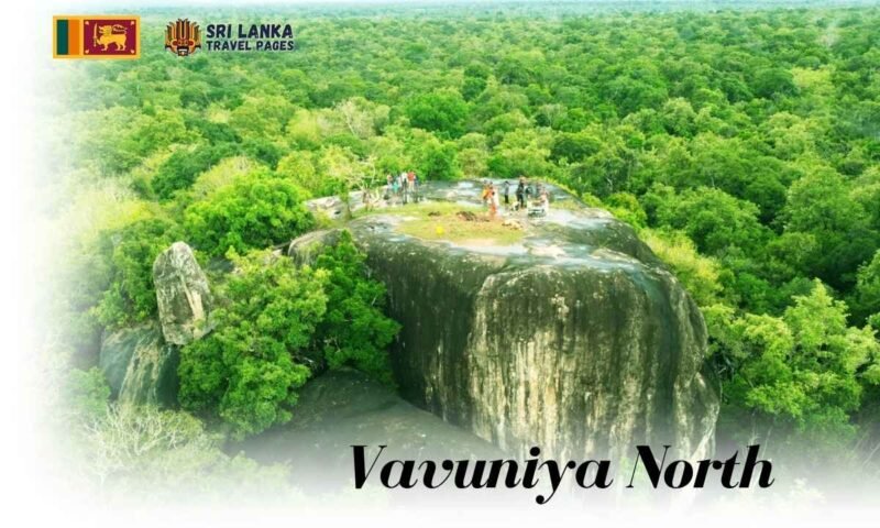 vavuniya-north-vavuniya-north