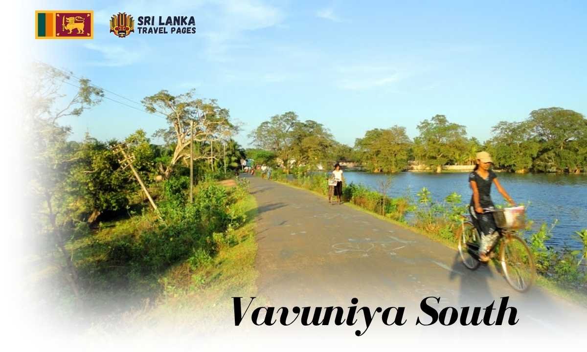 දකුණු වව්නියාව