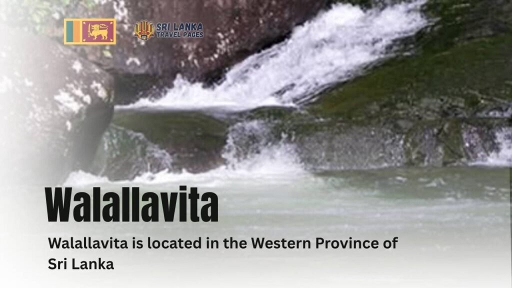 Walallavita