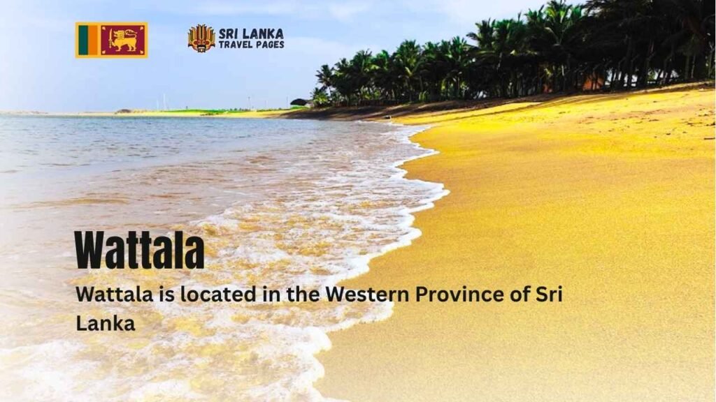 Wattala
