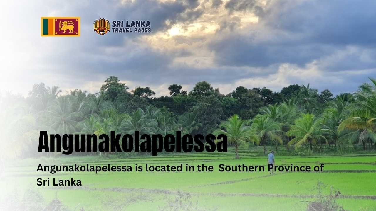 Angunakolapelessa