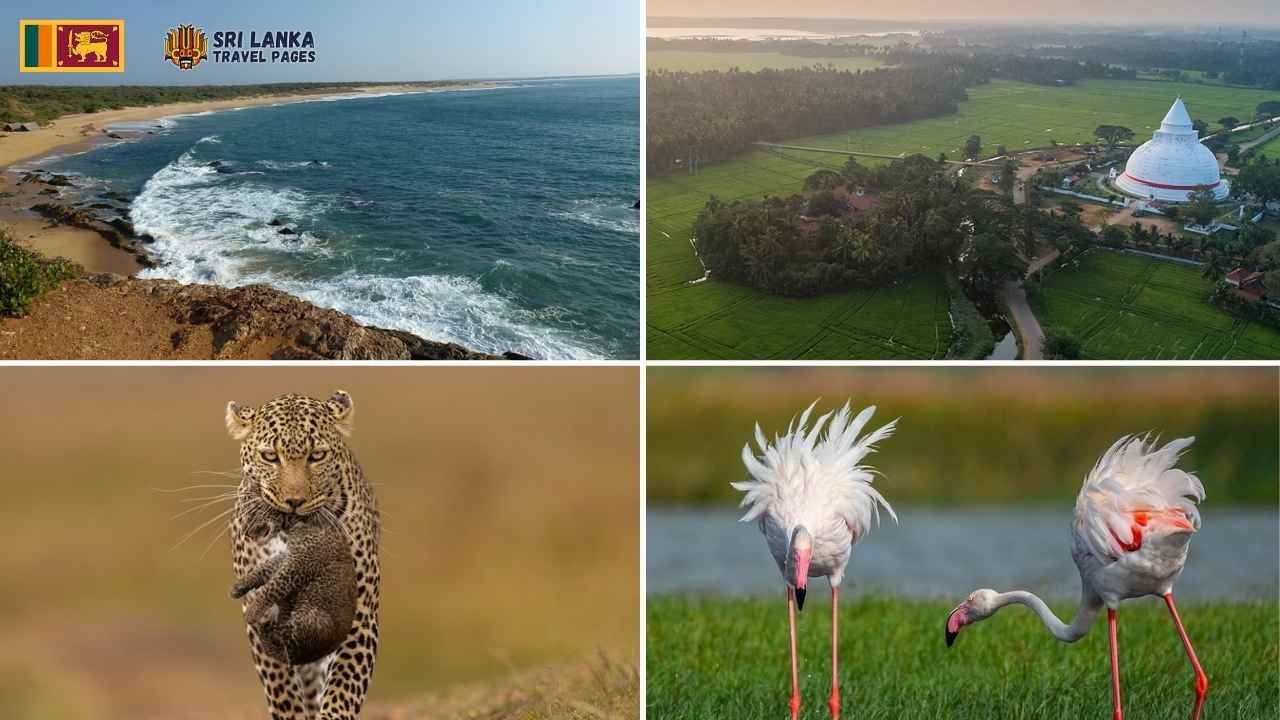 Meilleurs endroits à visiter à Hambantota