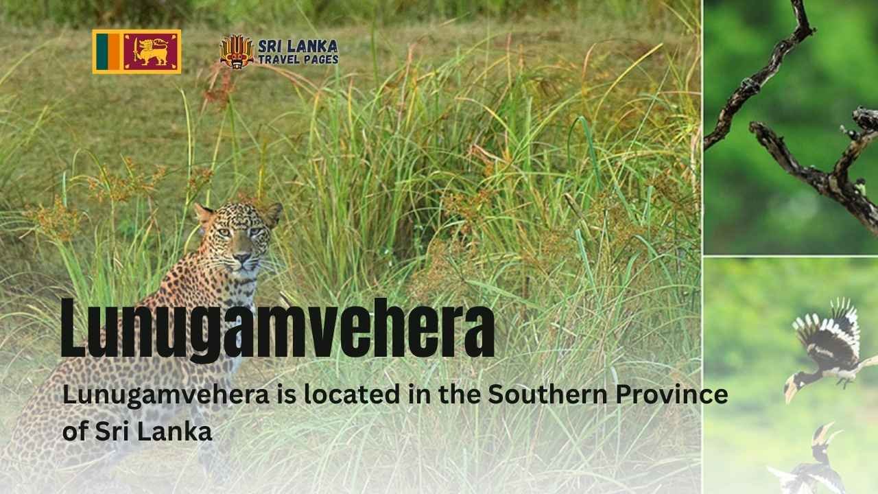 Lunugamvehera