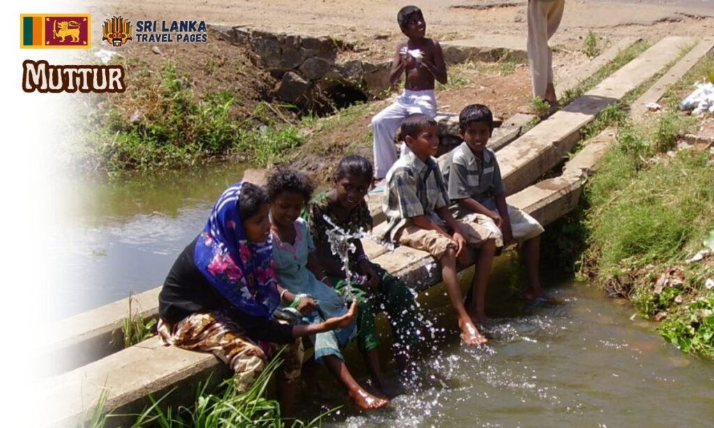 Discover Muttur, Sri Lanka – a serene coastal town offering culture, beaches, history, and authentic village life. Muttur