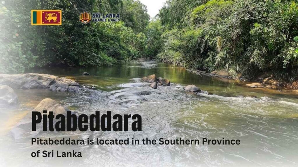පිටබැද්දර