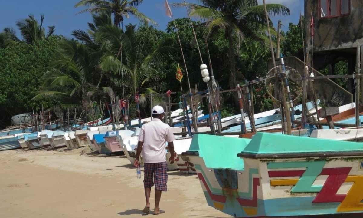 South Beach Surf Point — mellow waves for beginners