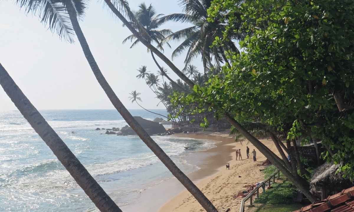 Wijaya Beach Surfing