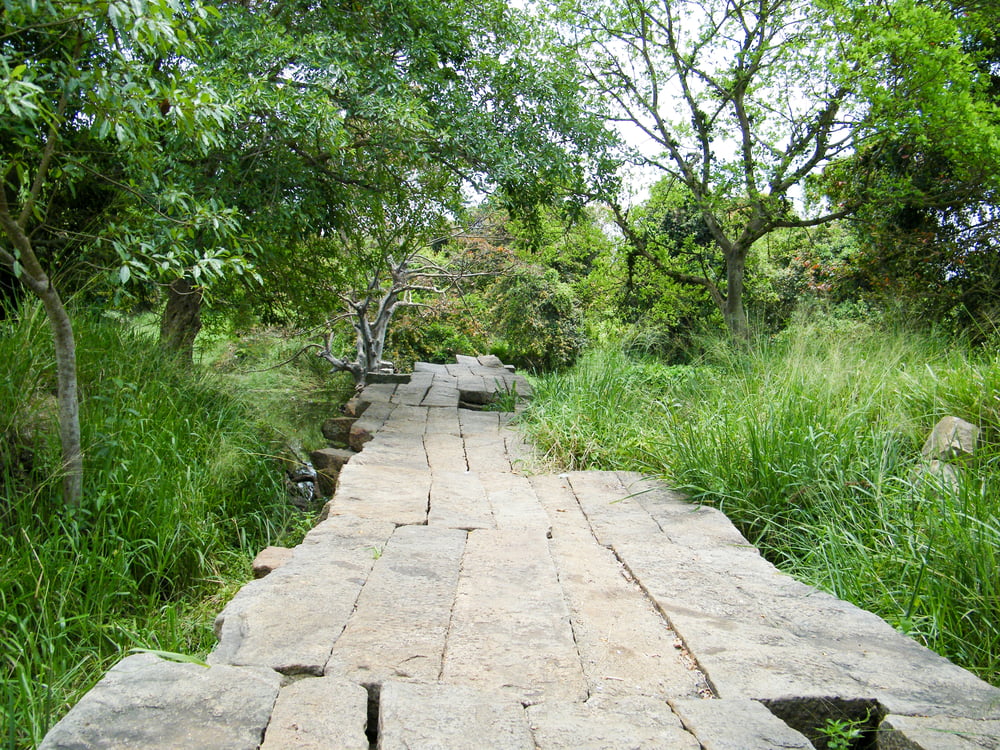 Ancient Stone Bridge ( Gal Palama) - places to visit in Anuradhapura