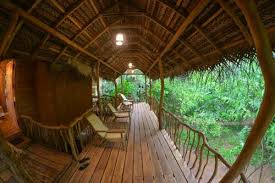 mutu village tree house