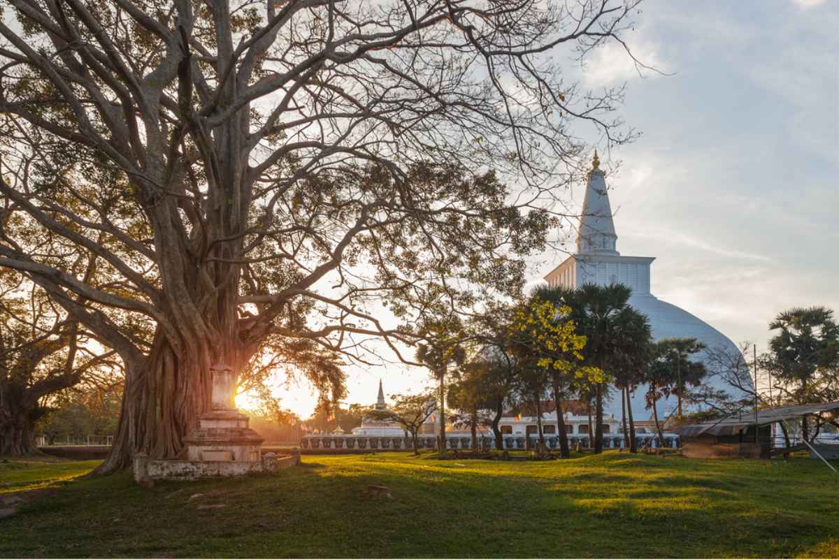 Ruwanweliseya is one the places to visit in Anuradhapura