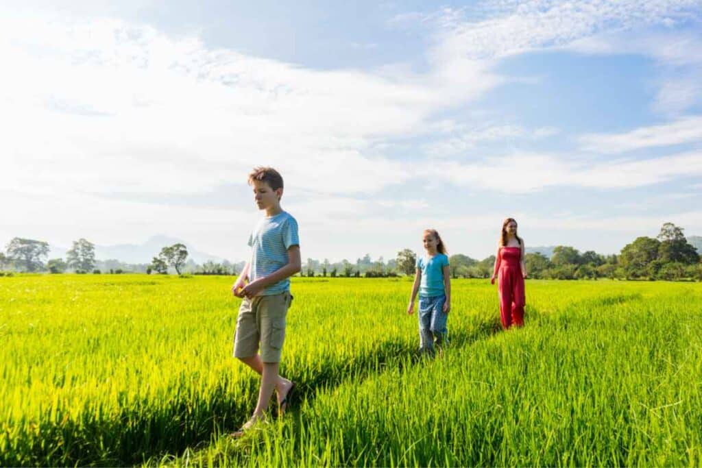 斯里兰卡农业旅游期间，母亲和她的两个孩子在郁郁葱葱的稻田里享受宁静的散步