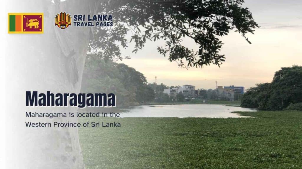 Maharagama, située à environ 16 kilomètres au sud-est de Colombo, relève de la compétence du conseil municipal.