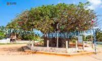 14 Best Places to Visit In Mannar - Sri Lanka