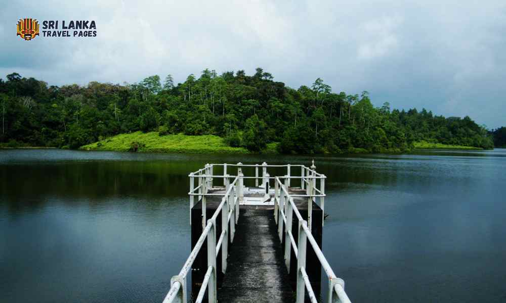 Réservoir Hiyare et forêt tropicale
