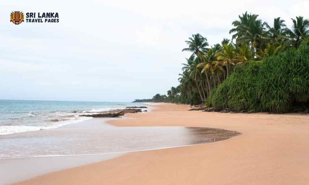 Plaża Koggala